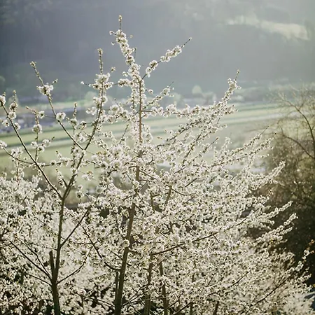 דירה Schlossberghof Schnellingen